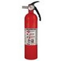 10BD DRY CHEM FIRE EXT. 2-3/4