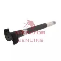 CAMSHAFT/LH