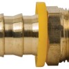 Hose-Male Pipe 1/2"ID-3/8"Thrd 725-8C